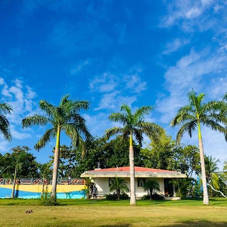 Srk Farm And Resort Anjār Kültér fotó